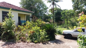 Lindo Sítio com 71000M², Caju Lindo Sítio com 71000M², Caju